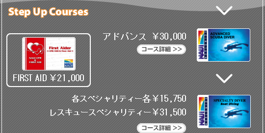 StepUpCourses