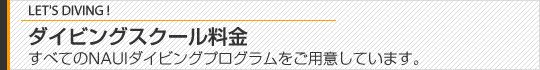 ダイビングスクール料金