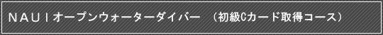 NAUI スクーバダイバーコースの導入説明（初級Cカード取得コース）