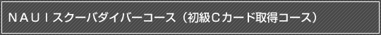 NAUI スクーバダイバーコースの導入説明（初級Cカード取得コース）