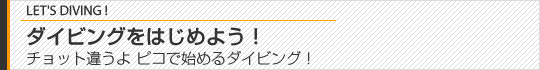 ダイビングをはじめよう！