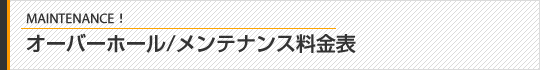 メンテナンス料金